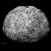 Mercury_Southern_Hemisphere.jpgf