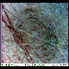 europa2.gif