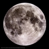 moon980312L.jpgf