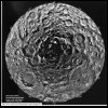 moon_southpole.jpgf